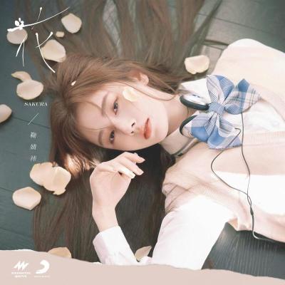 音乐分享：《花》——熟悉的人，熟悉的歌